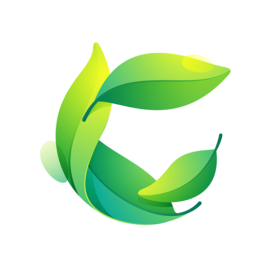 Responsive Personal Portfolio Website Design | Codehal
